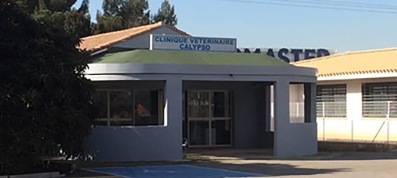 clinique-vetolympe-presentation_03