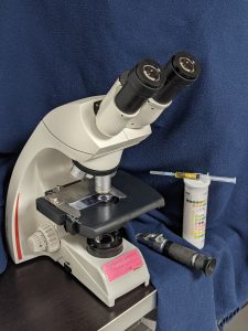 Analyse d'urines au miscroscope